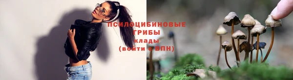 прущая мука Магас