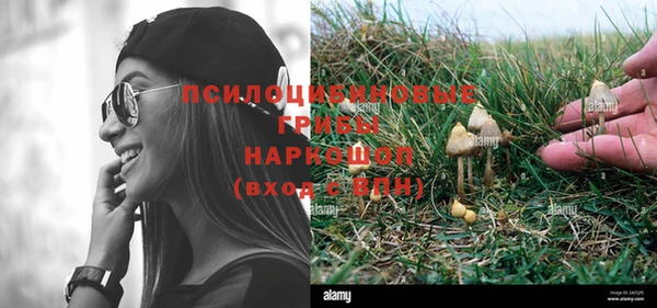 прущая мука Магас