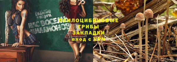 прущая мука Магас