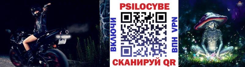 Купить  Лермонтов  Псилоцибиновые грибы Psilocybe 